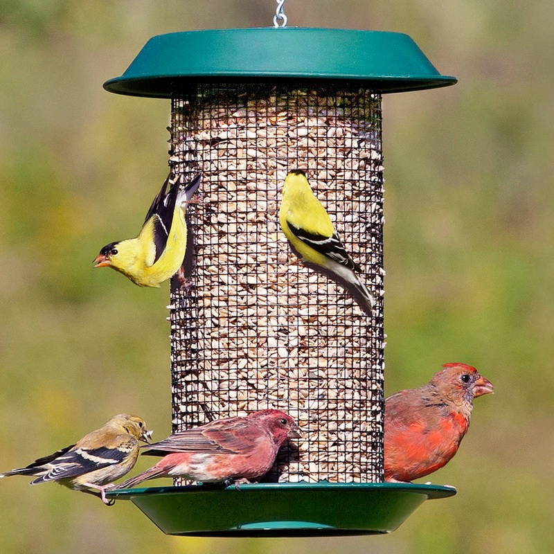 Plastic Magnum Sunflower Feeder
