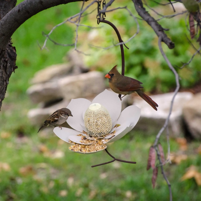 Single Magnolia Bird Feeder