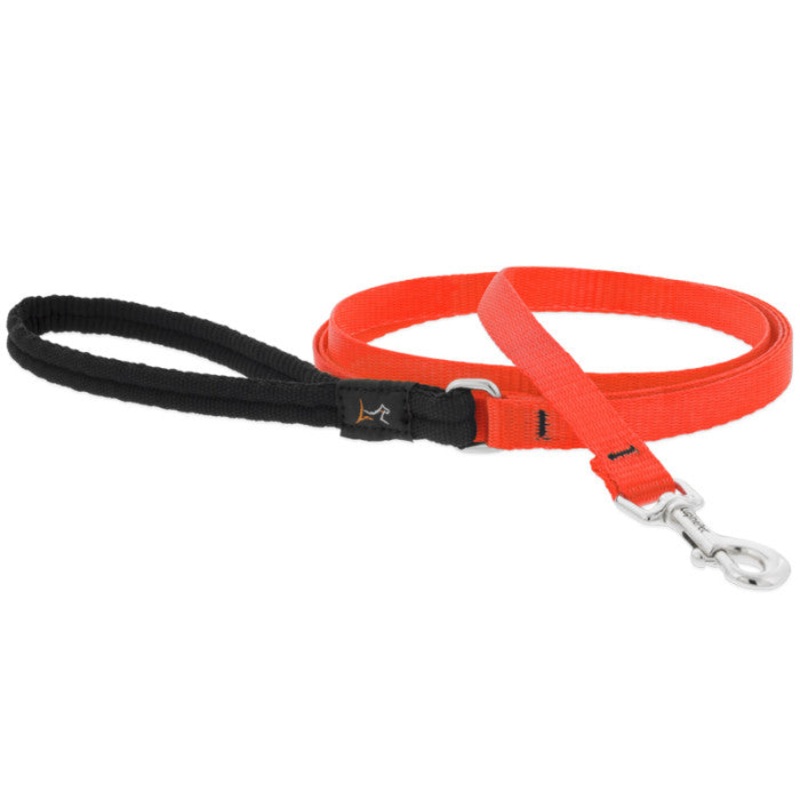 Solid Colour Dog Leash (Blaze Orange, 6′ X 1/2″) | Lupine