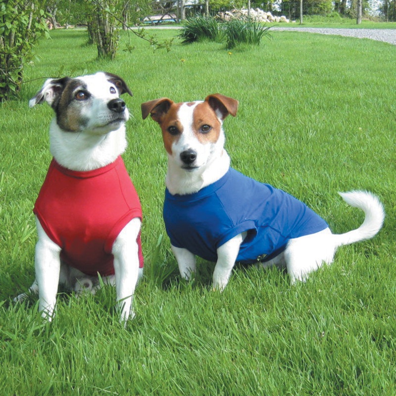 T-Shirt Body For Dogs 14 Brown