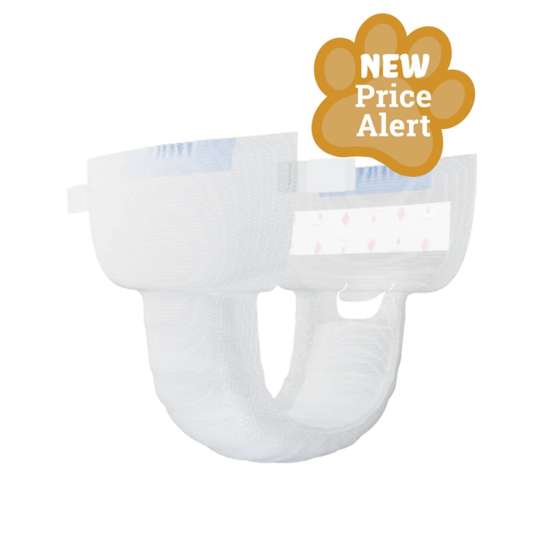 WizSmart Ultra Dry Disposable Diapers Large