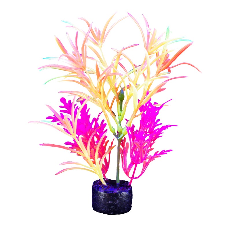 Marina iGlo Plant 7.5″/19 cm GPP-00913