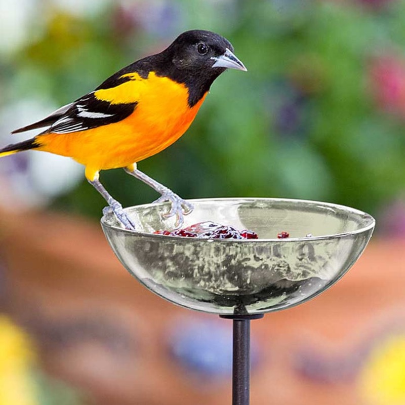 Mosaic Birds Poppy Stake Feeder, Clear