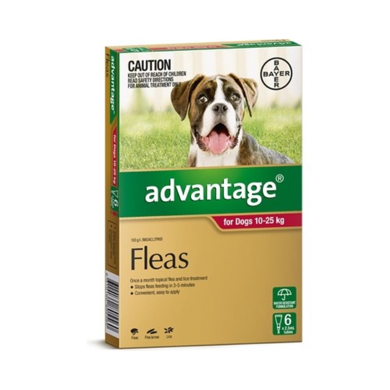 ADVANTAGE FOR DOGS 10-25KG SINGLE DOSE