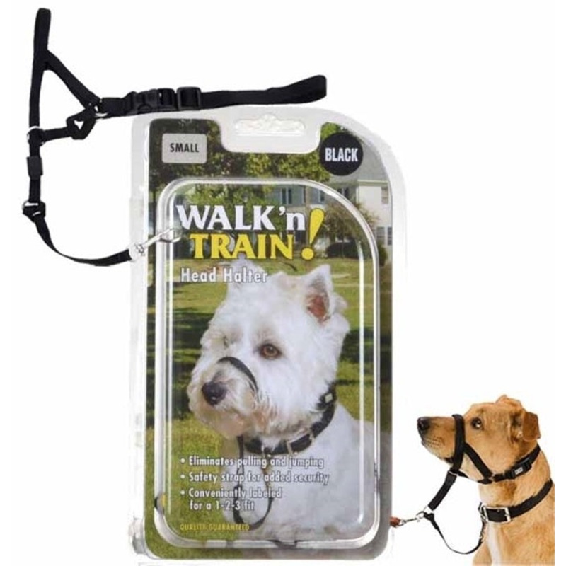 Coastal Walk n Train Head Halter Black (Large)