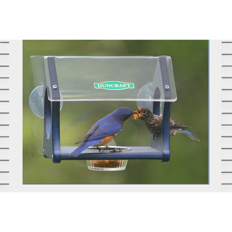 Duncraft Bluebird Mealworm Fly-Thru Window Feeder