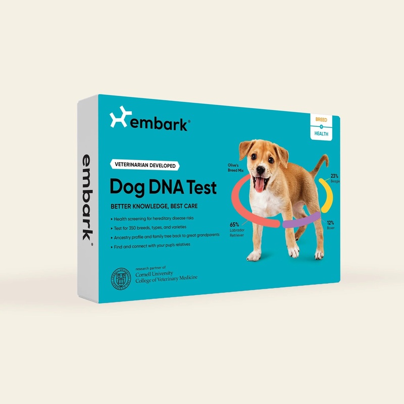 Embark Dog DNA Test Kits 1 Kit