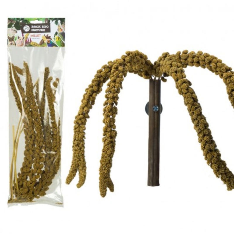 Back Zoo Nature French Millet Yellow Spray  Natural Foraging Treat for Birds & Parrots