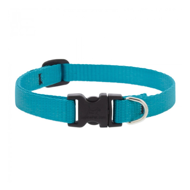 BASICS Adjustable Collar AQUA 1/2 FOR SMALL DOGS – 10″-16″