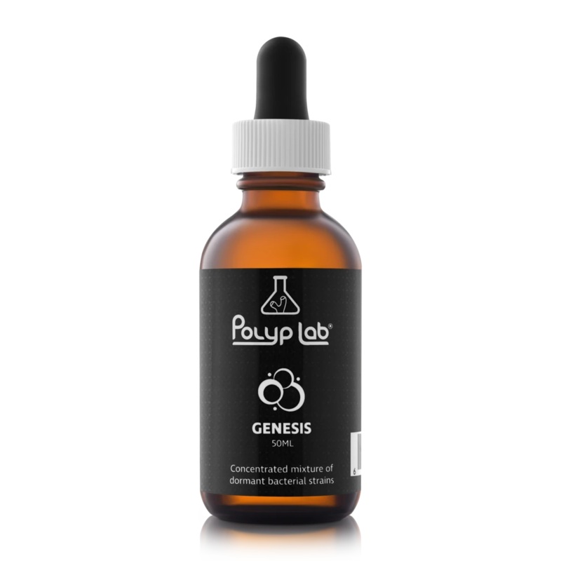 GENESIS GENESIS – MAP Price $26.99