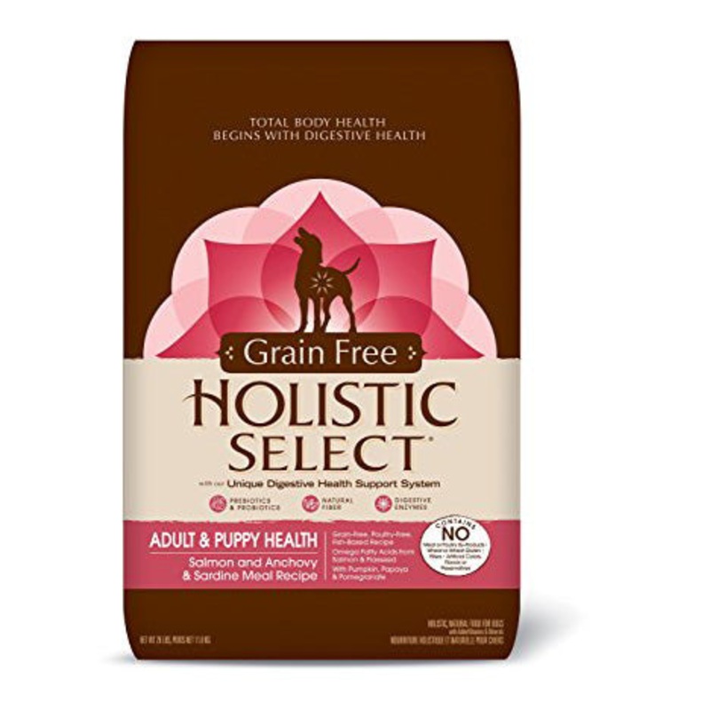 Holistic Select Grain Free Salmon, Anchovy & Sardine Dry Dog Food 24-lb