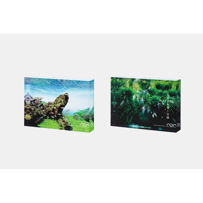 ADA NA ACRYLIC PHOTO BLOCK Iwagumi