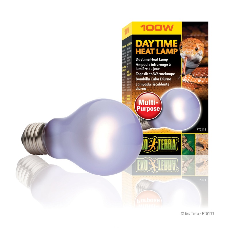 Exo Terra Daytime Heat 60W A19