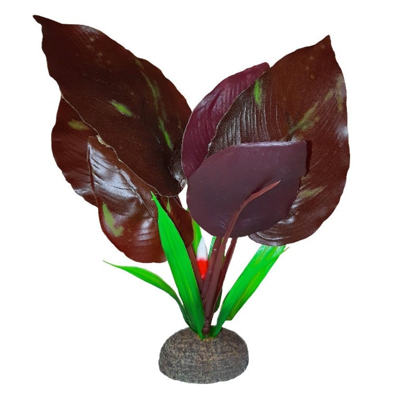 Fluval Betta Red Lizard Tail Plant