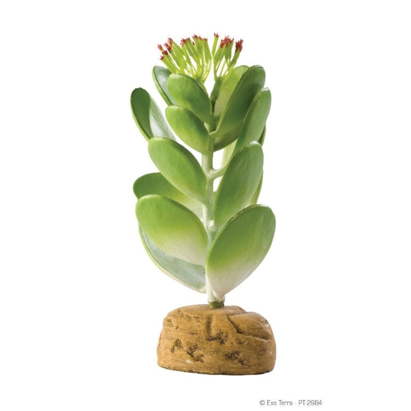 Exo Terra Plastic Terrarium Plant – Jade Cactus