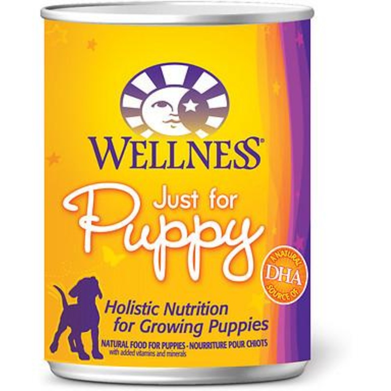Wellness Complete Health Natural Just for Puppy Chicken and Salmon Recipe Wet Canned Dog Food