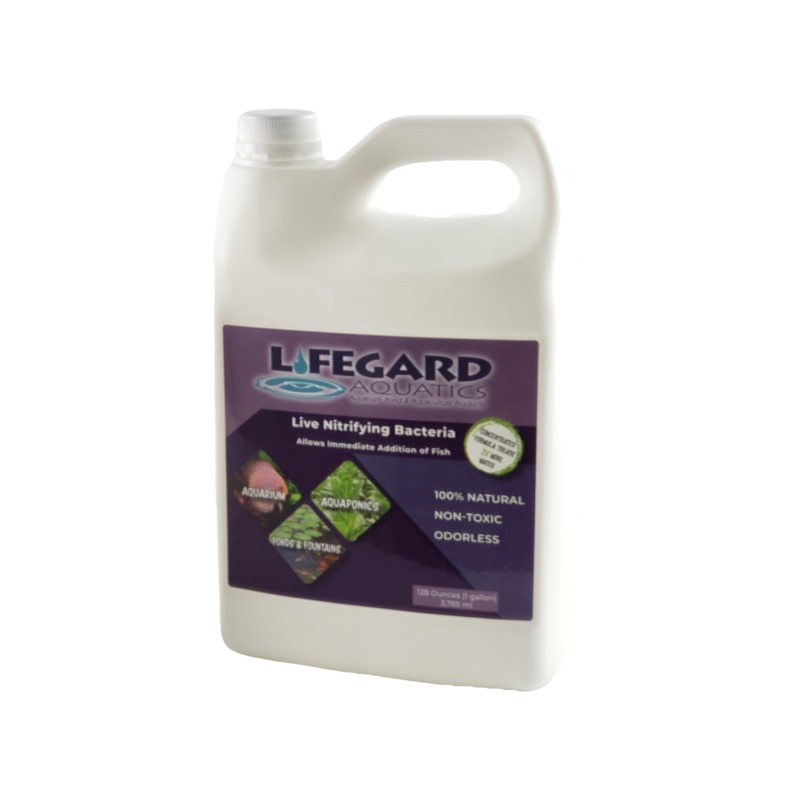 Live Nitrifying Bacteria 128 oz