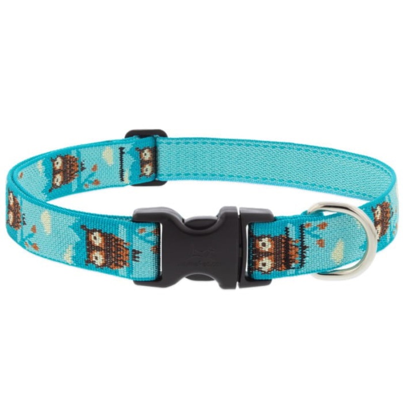 Lupine MicroBatch Dog Collar 1″ x 12″-20″ Hoot