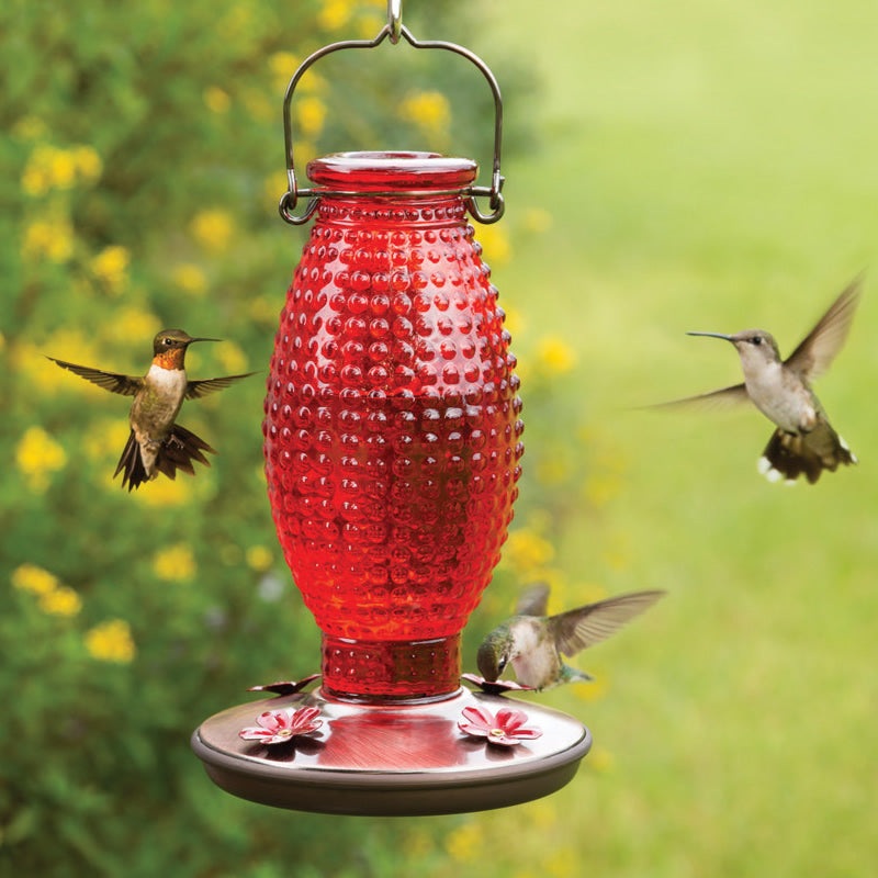 Red Hobnail Hummingbird Feeder