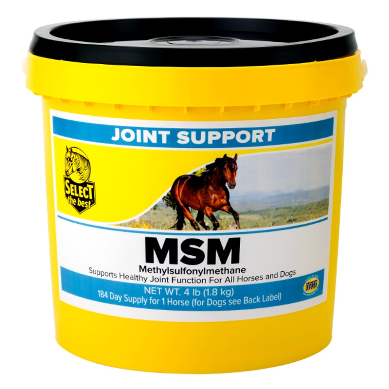 Select the Best MSM Joint Support Powder 4 lb