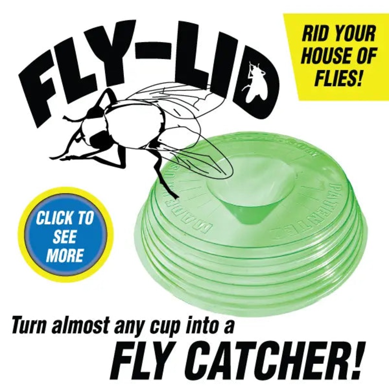 Billy Bob Fly Lid 4 Pack