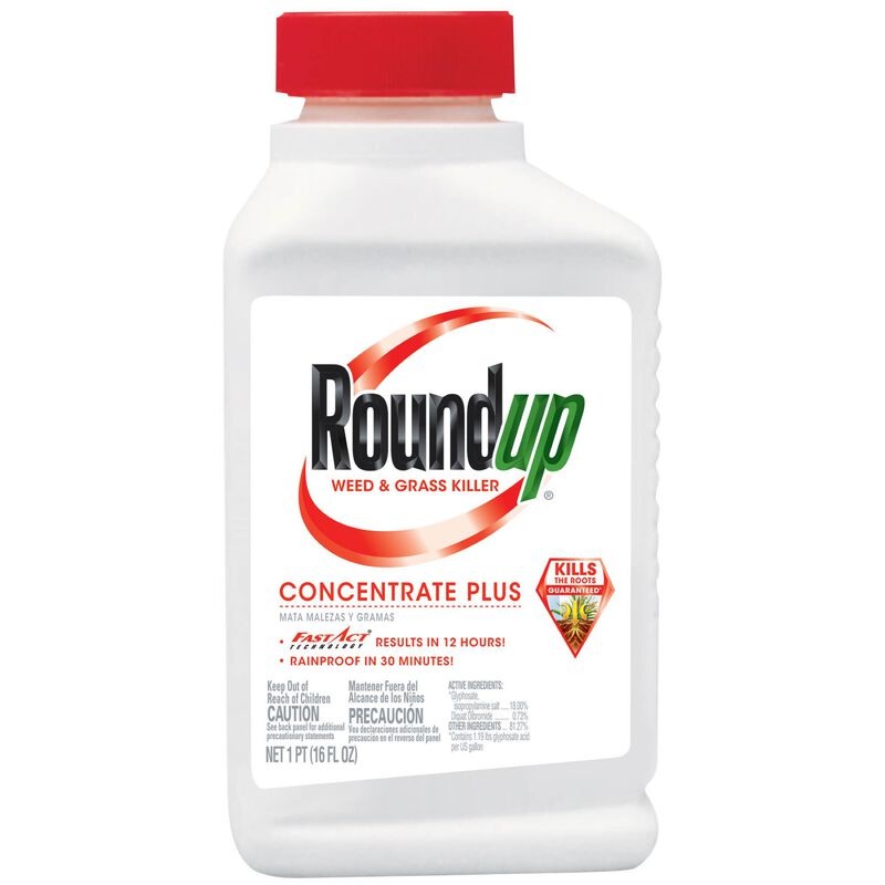 Roundup Weed & Grass Killer Concentrate 35.2 oz