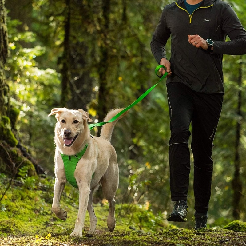Ruffwear Front Range Dog Leash – Blue Pool