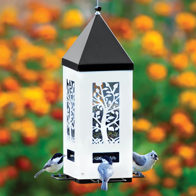 Squirrel Shield Lantern Feeder
