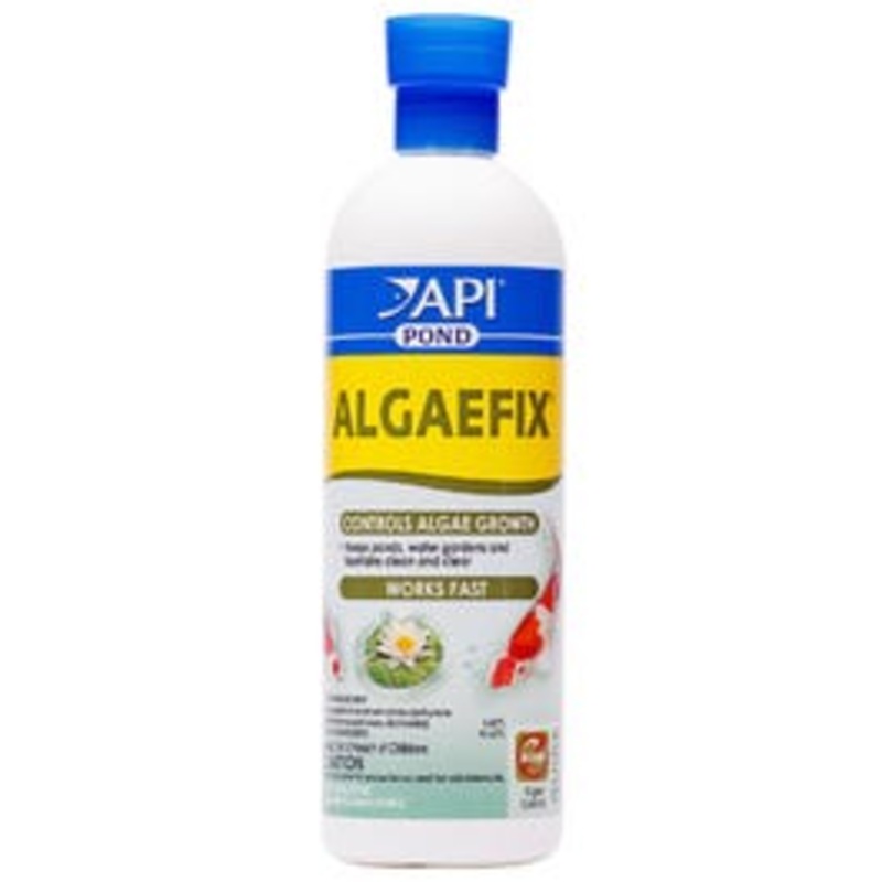 Algaefix Algae Control Solution 16-oz.