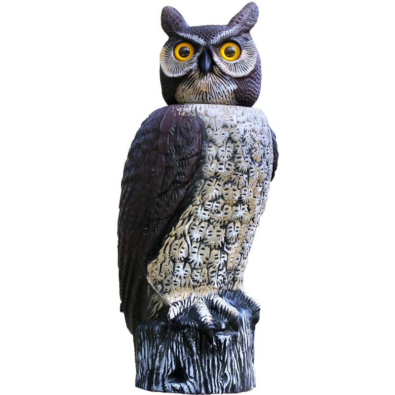 Dalen Rotating Head Owl Default Title