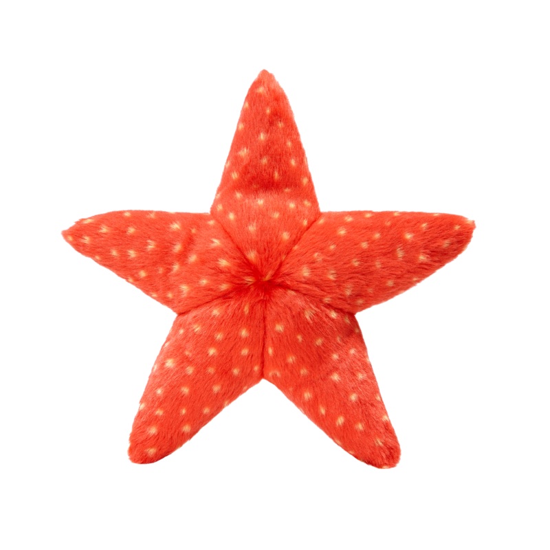 Fluff & Tuff Ziggy Starfish Toy
