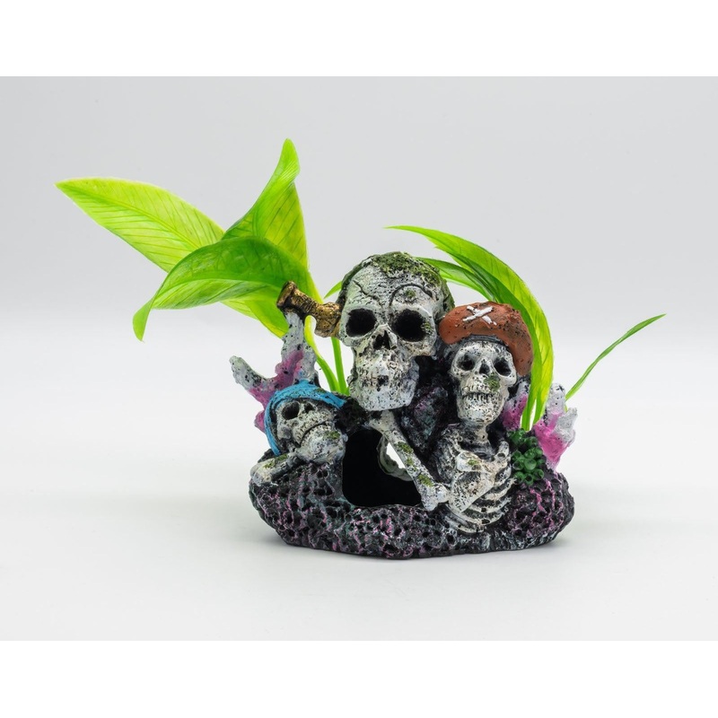 AquaSpectra Pirate Skull, Group