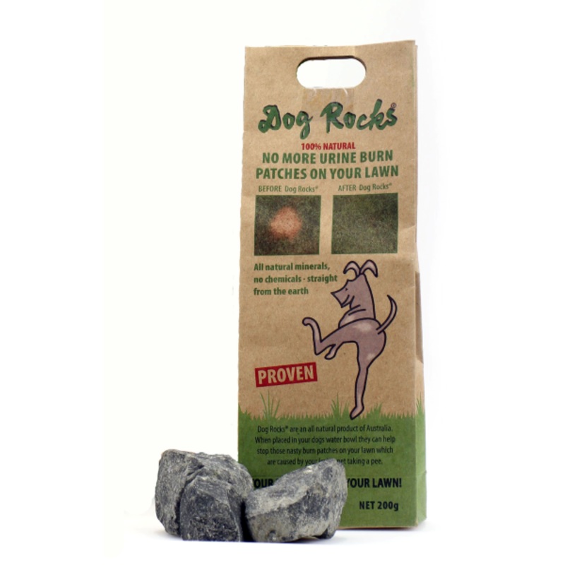 Dog Rocks One Size