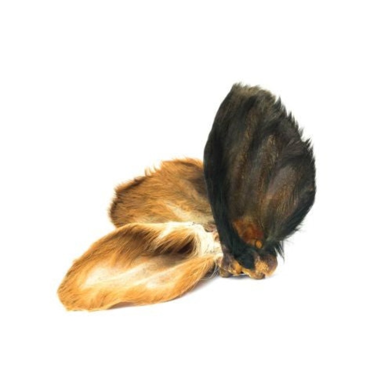 Hairy Cow Ears x25 Bulk