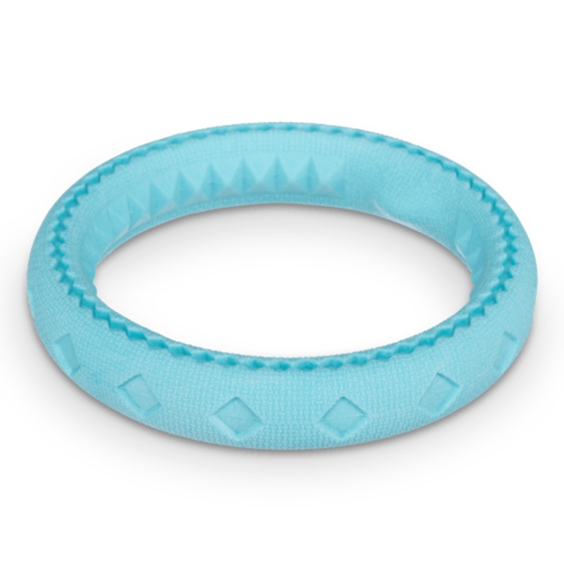 Totally Pooched Chew and Tug Ring Teal Toy for Dogs 6.5 in