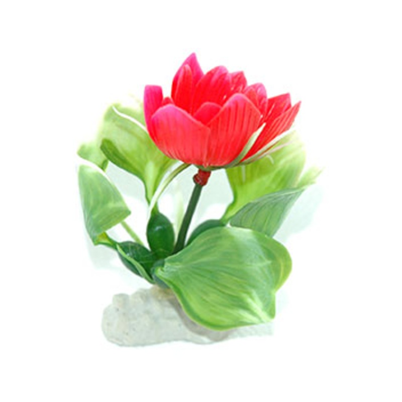 AquarWorld Pink Lily 10cm