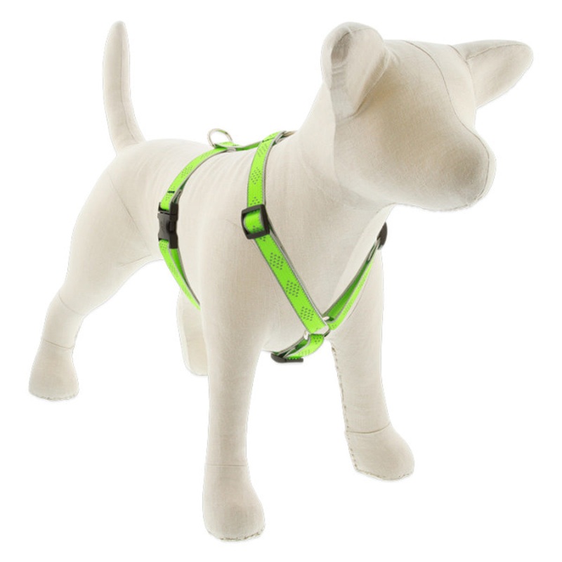 Lupine Reflective Roman Dog Harness 3/4″ Wide 12″-20″ Girth Green Diamond