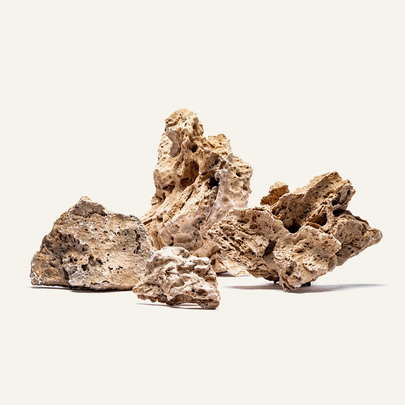Patagonia Stone 10LB