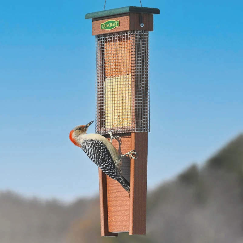 Pileated Woodpecker Suet Shield Wrap Feeder