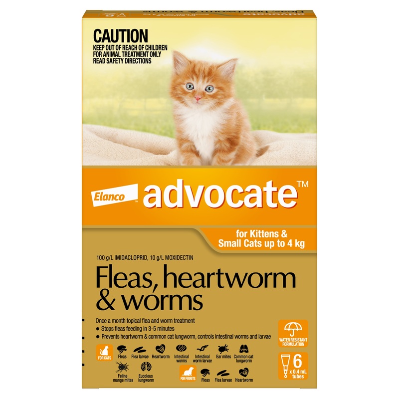 Advocate – Cat up to 4kg (6pk) 6pk