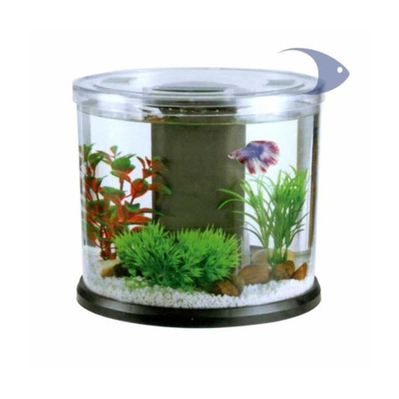 Boyu Dy Series Desktop Aquarium – Mixed Colors[Dimension – 23.6 x 20.4 cm]