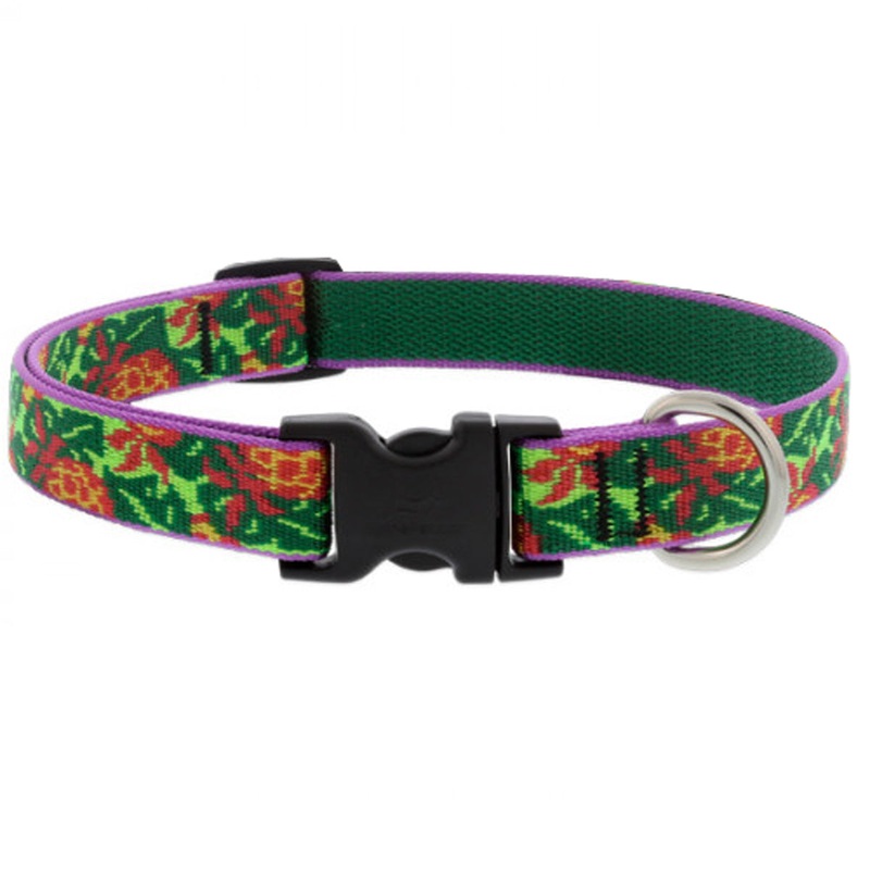Lupine Adjustable Dog Collar 3/4″ Wide x 15″-25″ Pina Colada