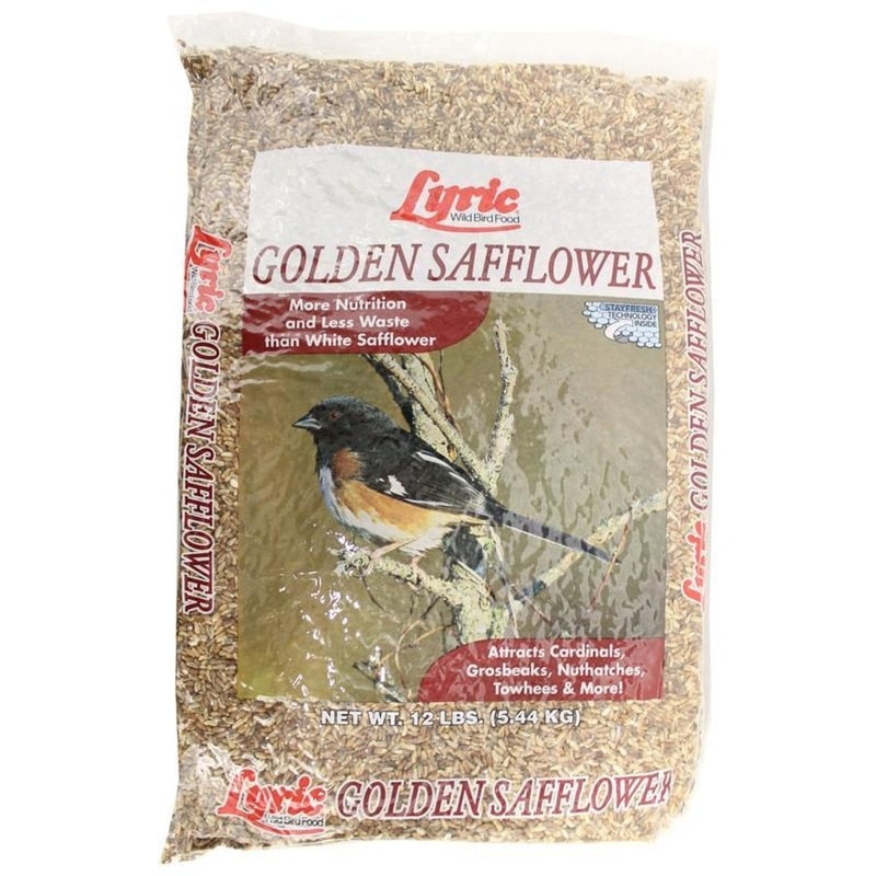 LYRIC GOLDEN SAFFLOWER 5 lb