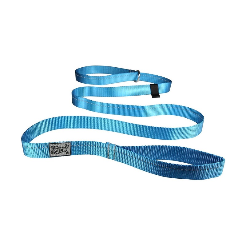 RC Pets Primary Dog Leash 1″ Cyan