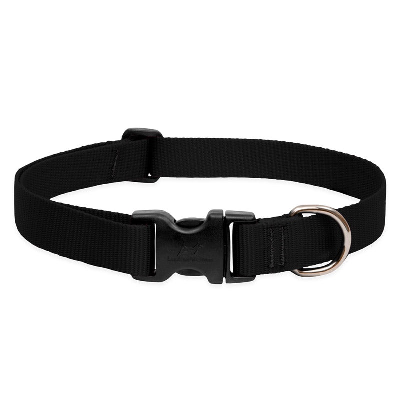 BASICS Adjustable Collar BLACK 1 FOR LARGE DOGS – 12″-20″