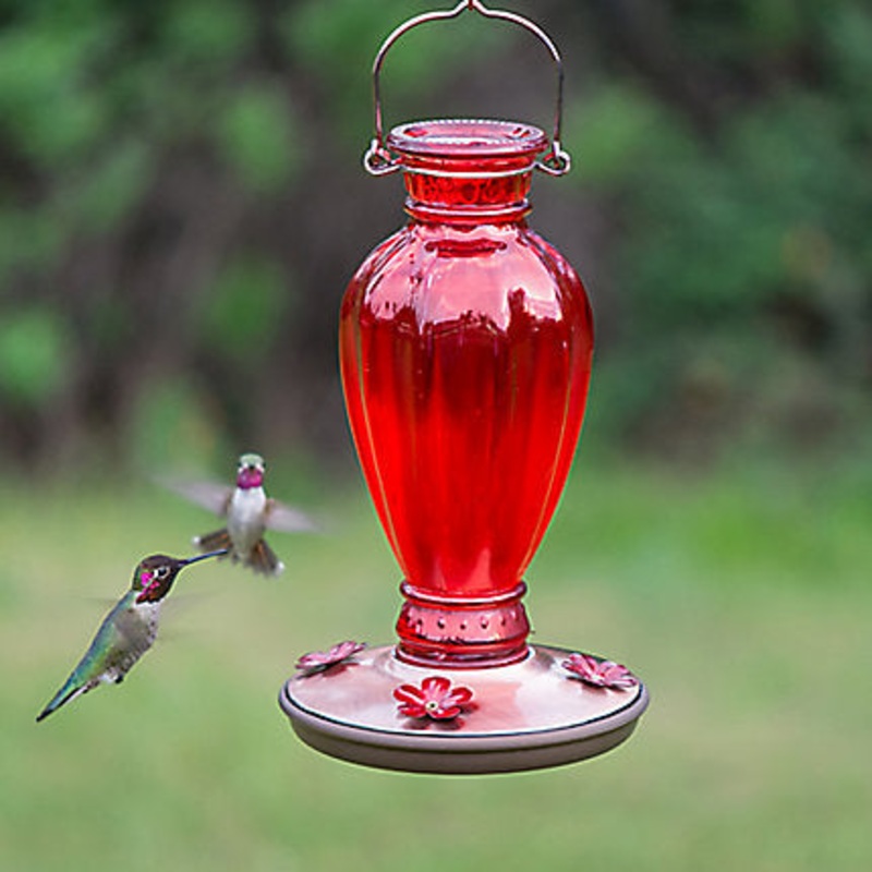 Perky-Pet Daisy Vase Vintage Hummingbird Feeder – 18 oz Nectar Capacity 1-Count