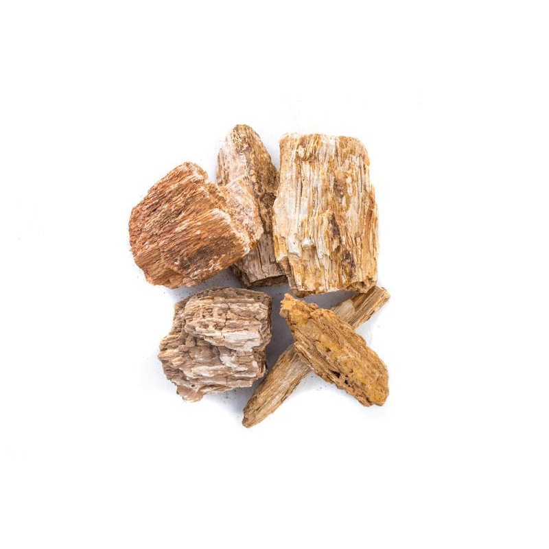 Burmese Petrified Wood 10lb Pack