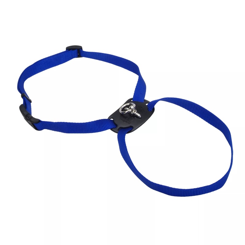 Coastal Size Right Adjustable Dog Harness Small – 5/8″ x 18″-24″ Blue