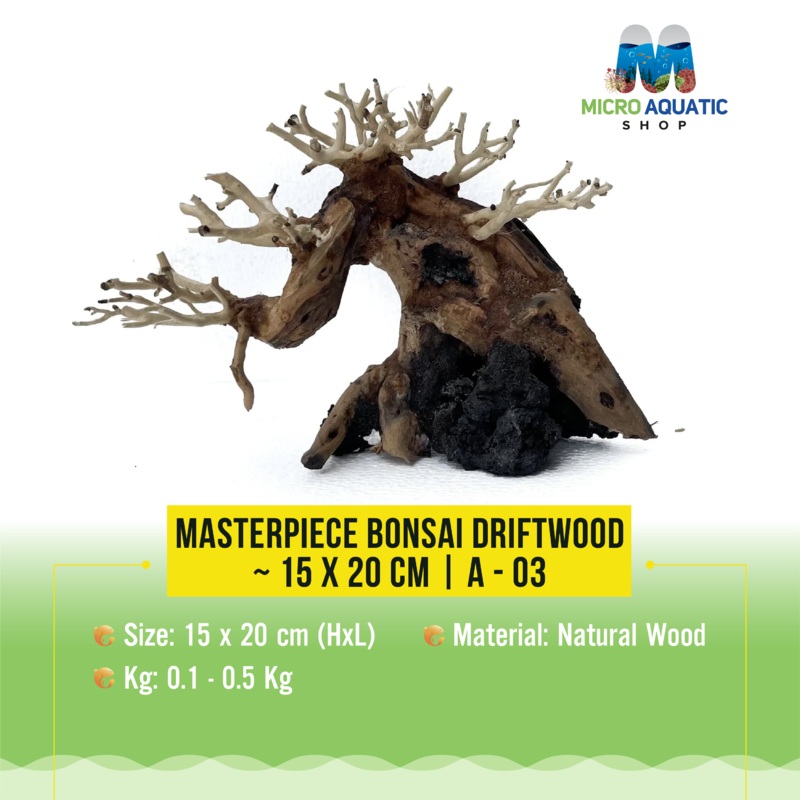 Masterpiece Bonsai Driftwood ~ 15 x 20 cm | A – 03