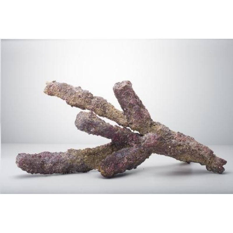 Bulk Rock Live Rock Belize Branch per Ounce ($9.99/lb)